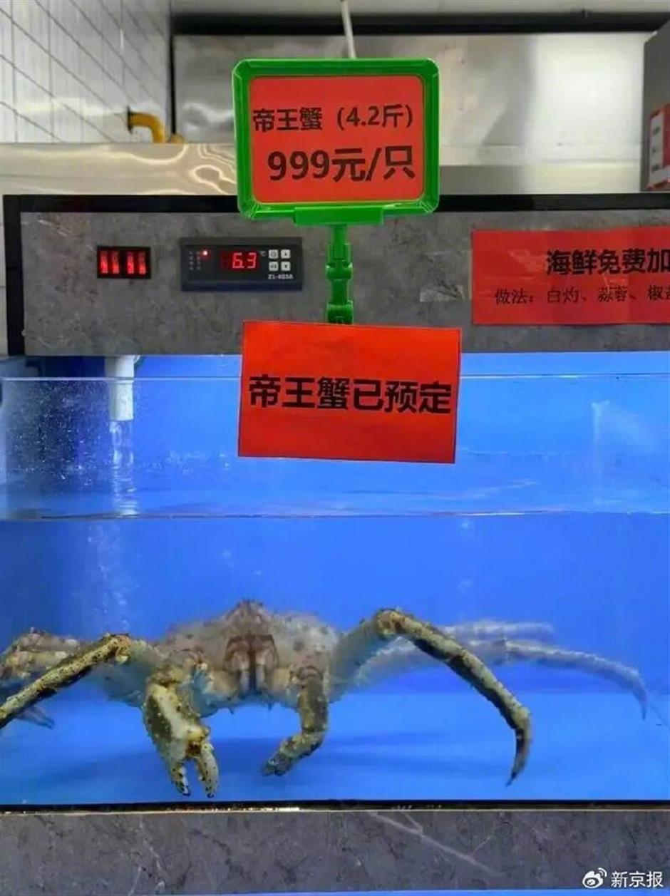 Nanjing University Canteen Stirs Debate Over US$140 King Crab on Menu
