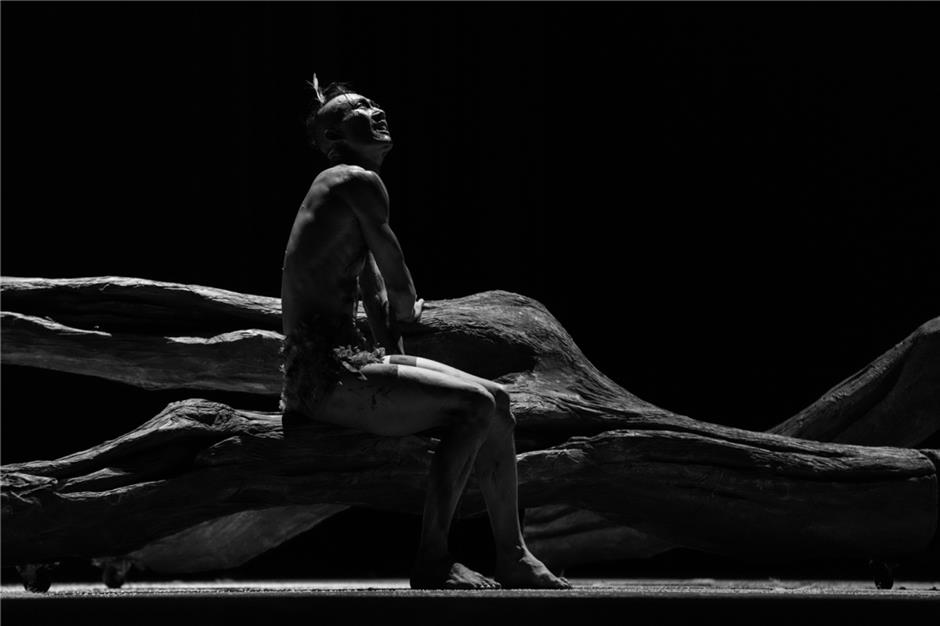 Life's philosophy gets a fresh new look with 'Cosmic Tree'