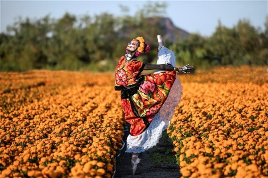 Head to Cervantes Institute to experience Day of the Dead