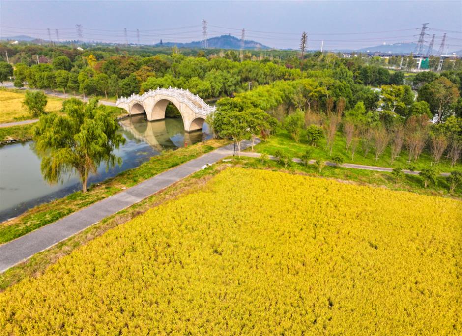 藏不住了!上海这几处