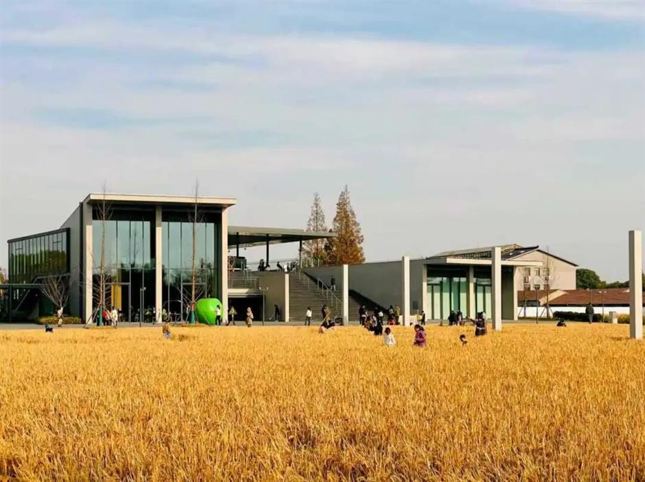 藏不住了!上海这几处