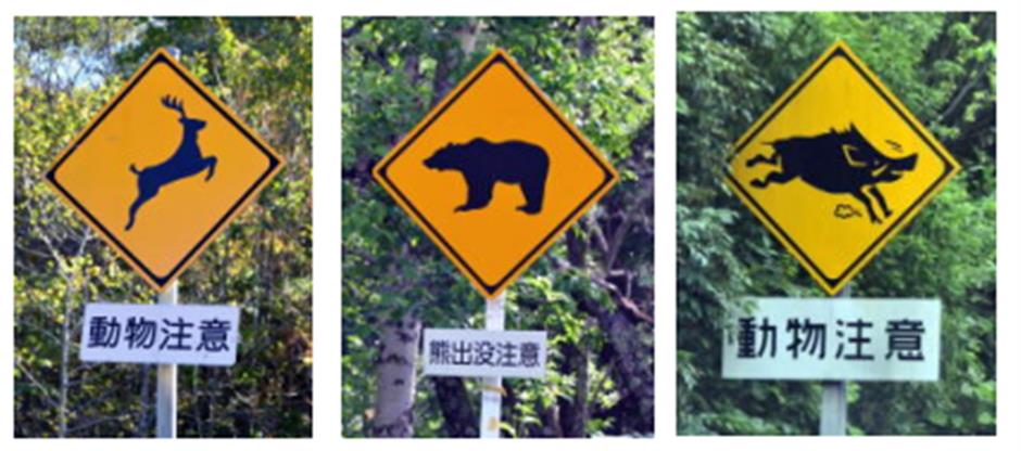 Chinese Embassy Warns Nationals of Bear Attacks in Japan