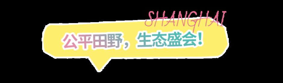 11月12日起,连嗨3天!上海这个大展一定要去!限时免费领票→