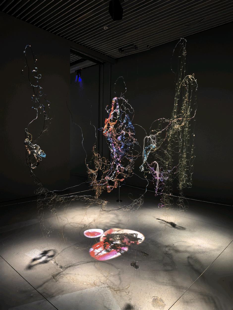 上海雙年展,今起對公眾開放!