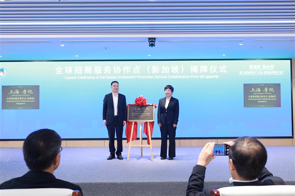 Baoshan, Putuo Attract Global Investors For Their Projects at CIIE