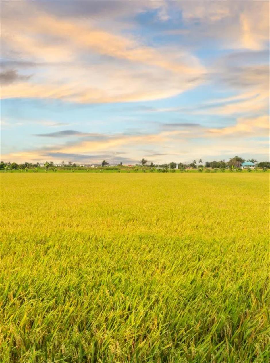 藏不住了!上海这几处