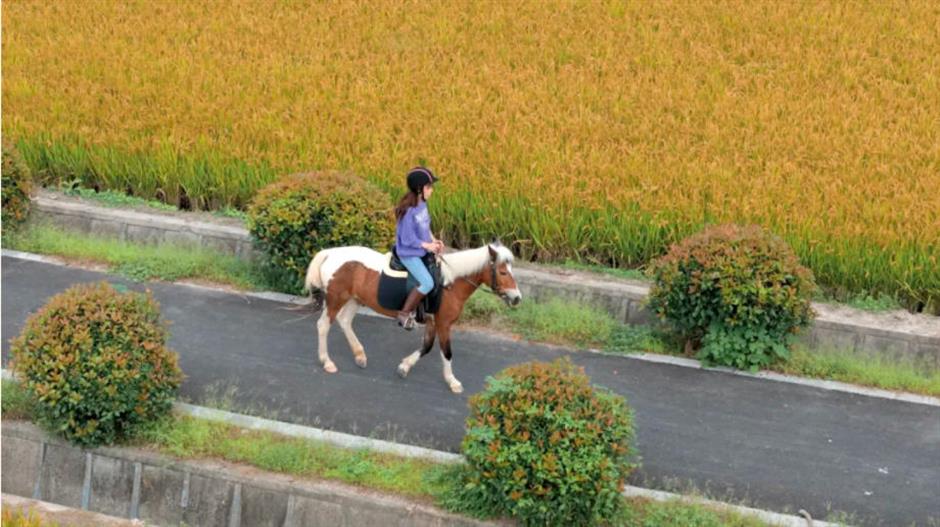 藏不住了!上海这几处
