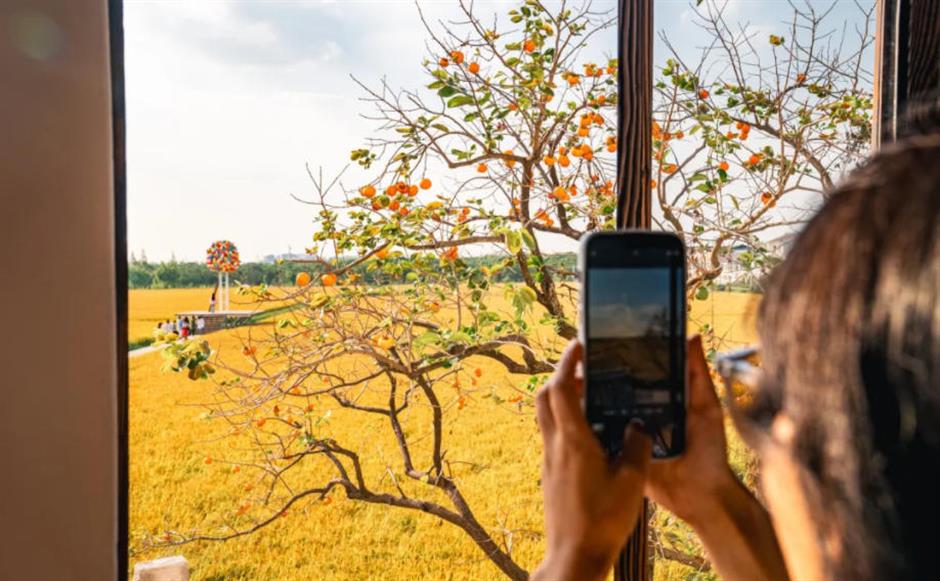藏不住了!上海这几处