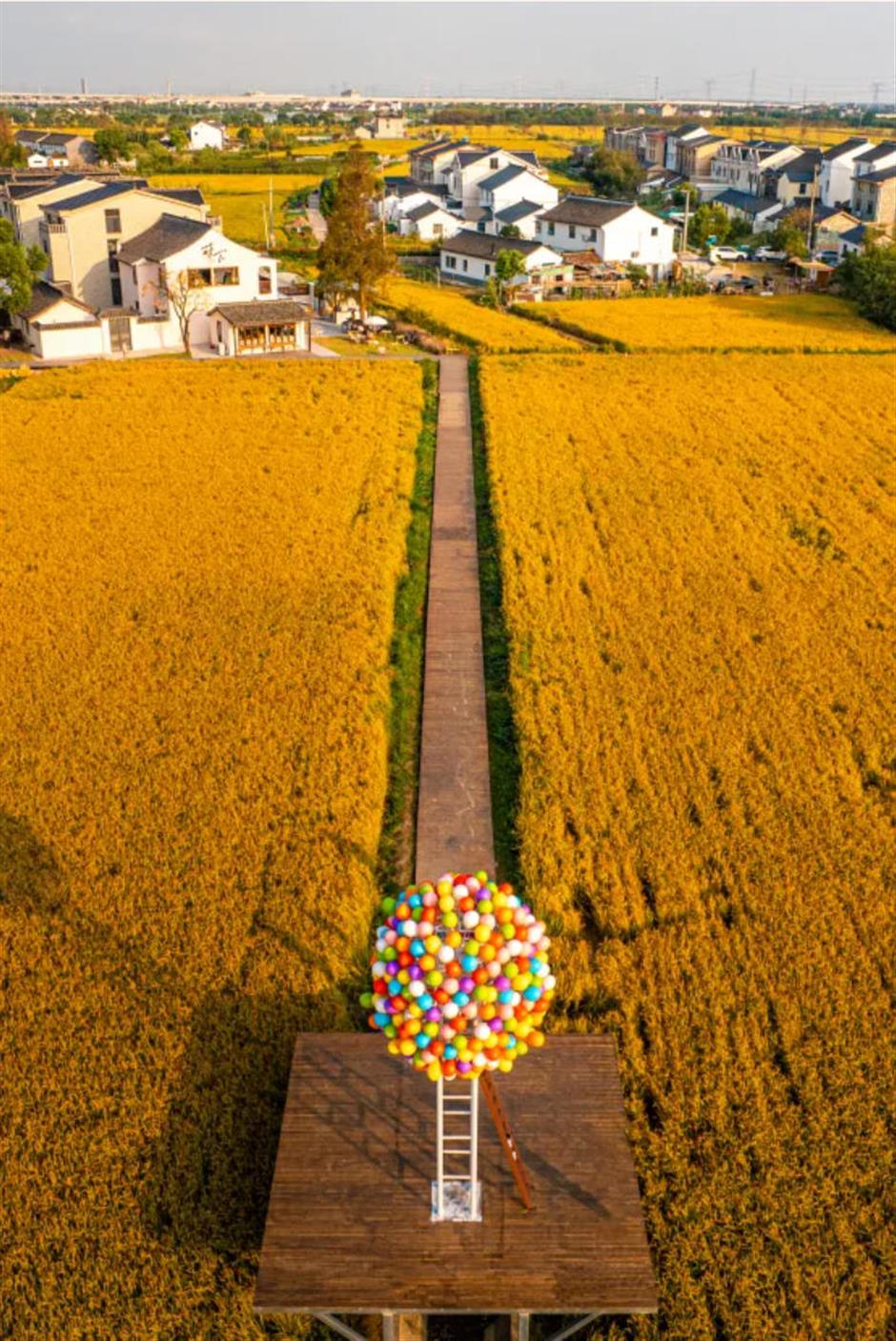 藏不住了!上海这几处