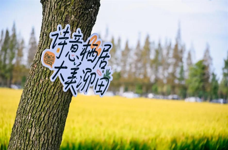 藏不住了!上海这几处