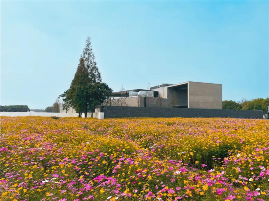 藏不住了!上海这几处