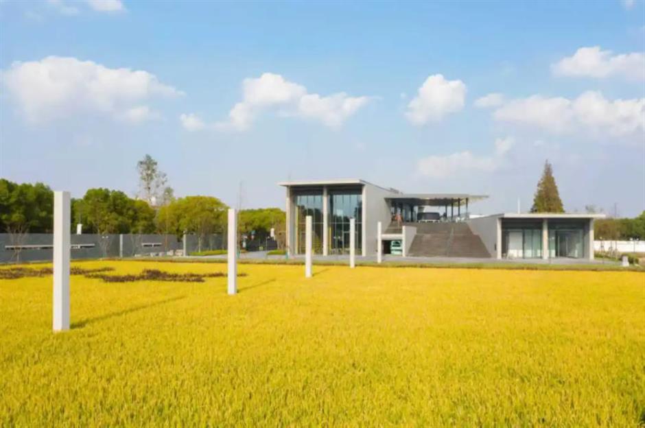 藏不住了!上海这几处