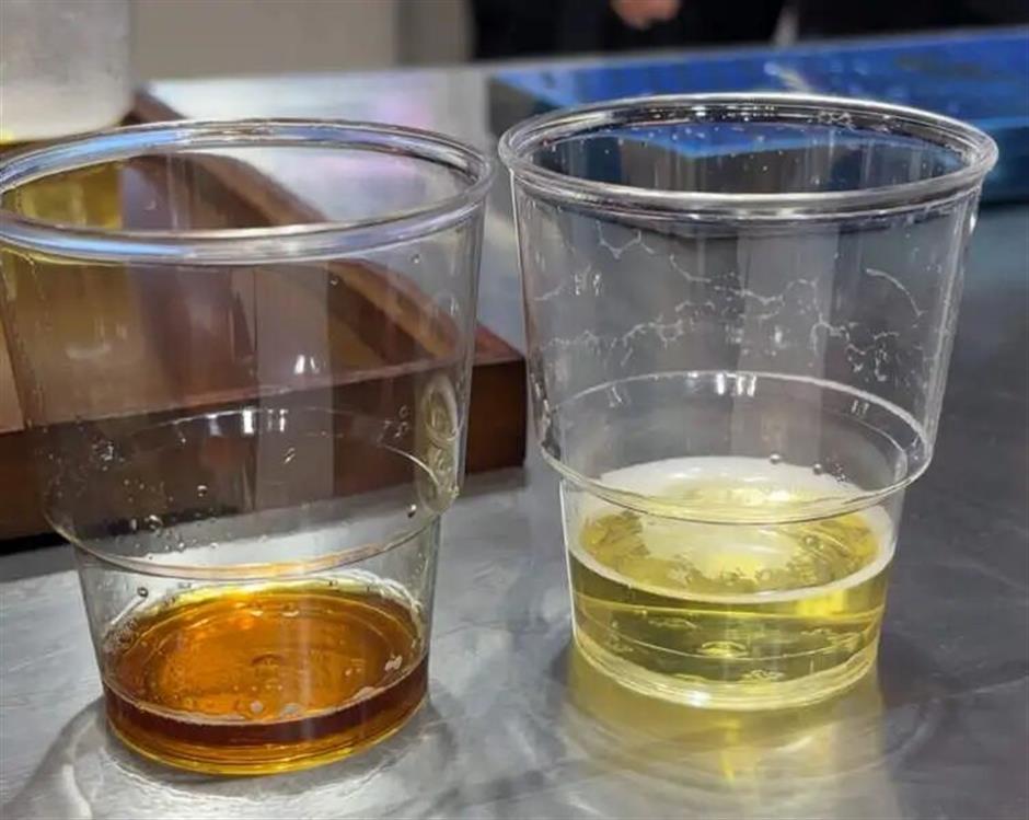 [First in Shanghai] Global Innovators Showcase Their Latest Products at the 8th CIIE