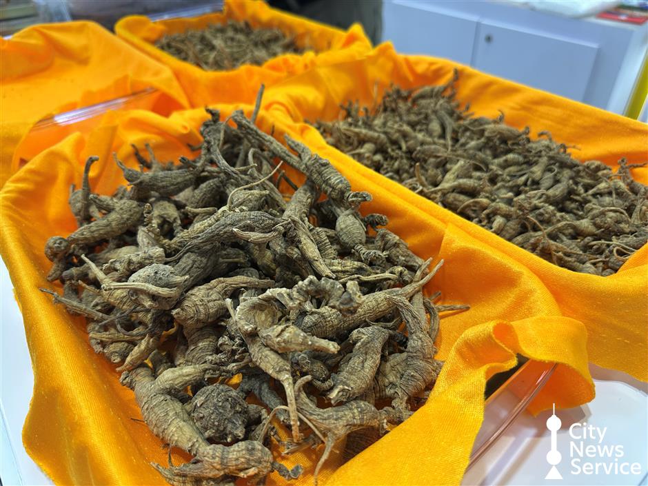 Global Exhibitors Find Business Growth at CIIE