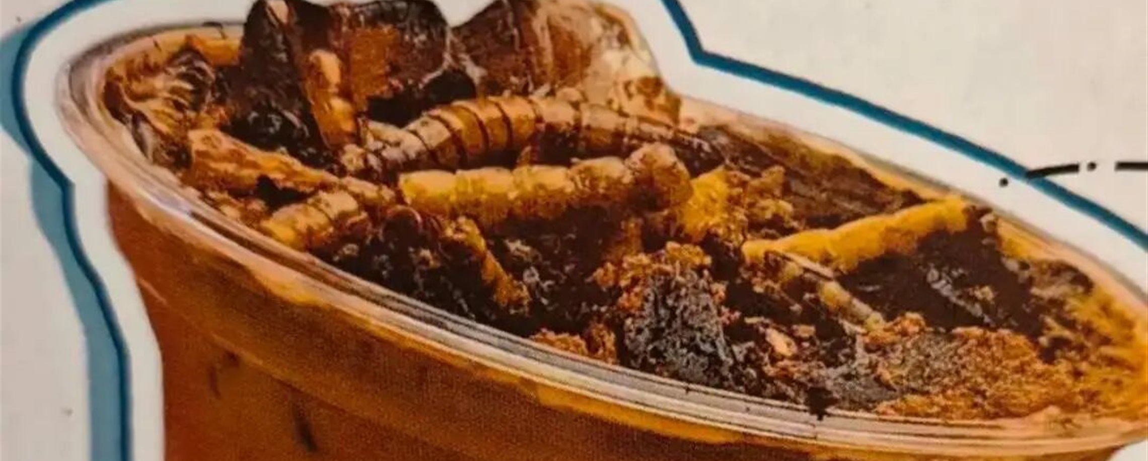 Beijing Museum Sparks Debate with Insect-infused Coffee