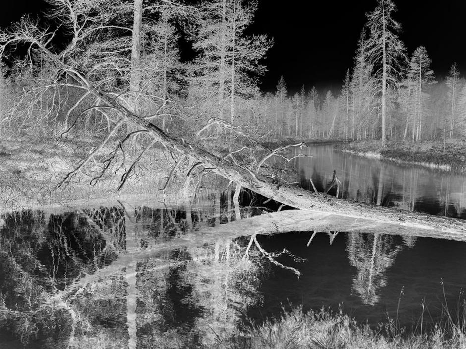 West Bund ICEC Shines As Newest Art and Design Expo Venue