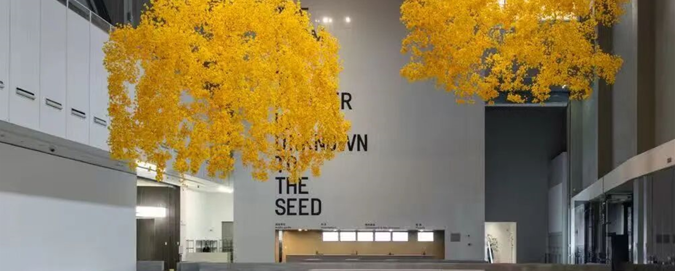Shanghai Biennale Explores 'Does the Flower Hear the Bee?'