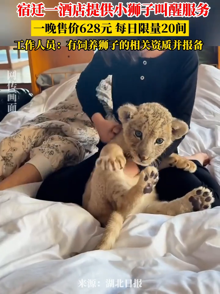 'Wake Up With a Lion Cub?' Chinese Hotel Suspends Service