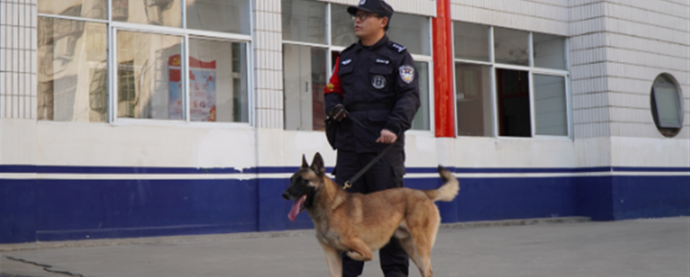 Three-Legged Police Dog and His Trainer Rewrite Fate Together