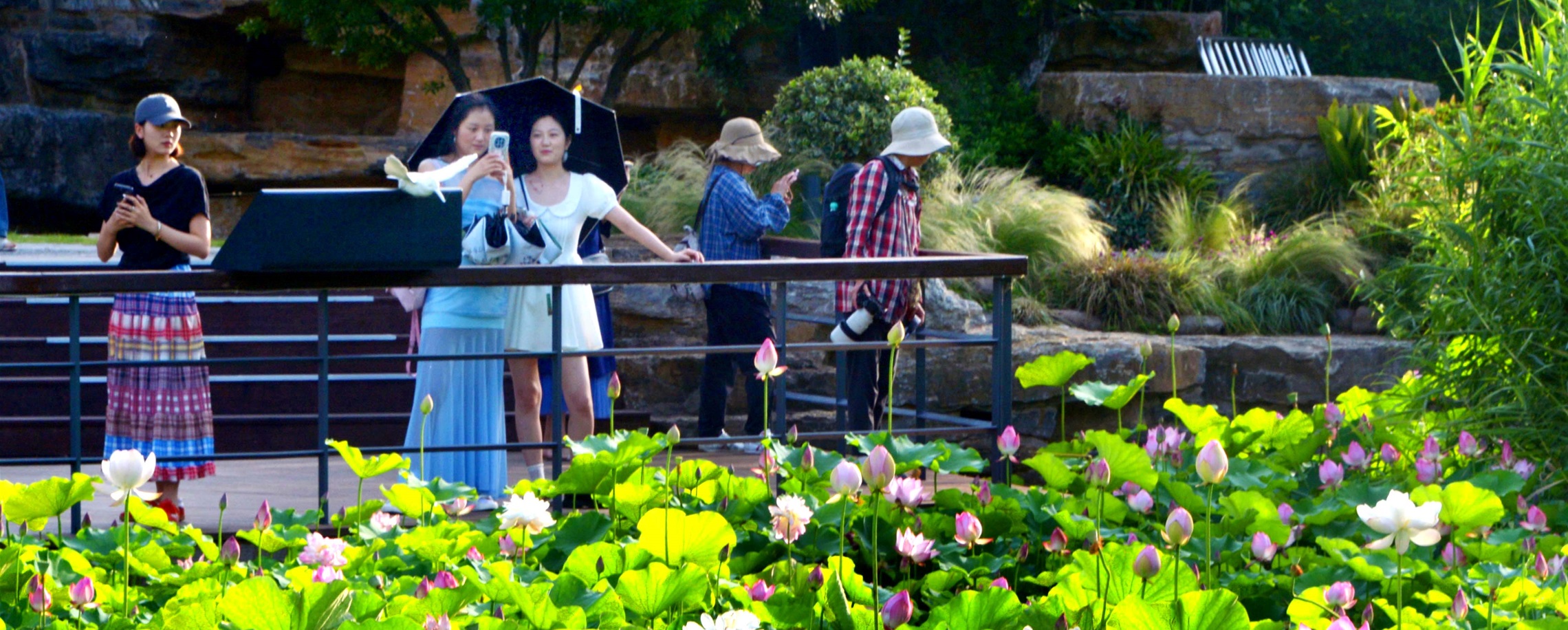 Shanghai Parks Partially Closed for Maintenance