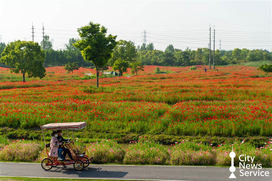 Innovation and Industry Upgrading Drive Jinshan Throughout the 14th Five-Year Plan