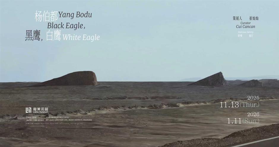 'Black Eagle, White Eagle: A Passage Carved from Light'
