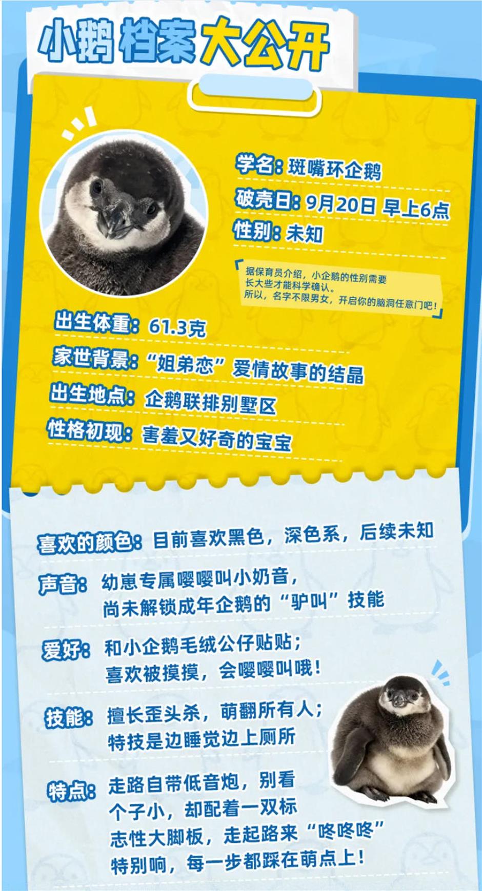 生了!生了!长风海洋世界有喜了!