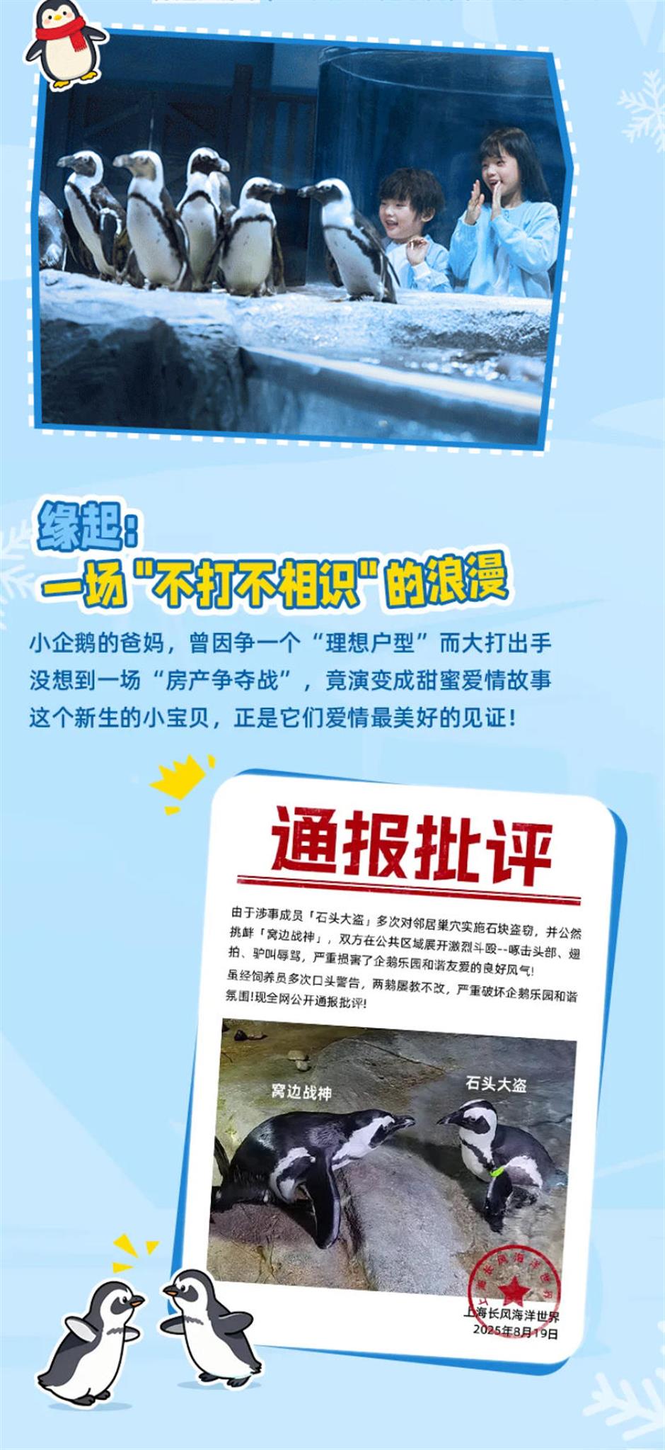 生了!生了!长风海洋世界有喜了!