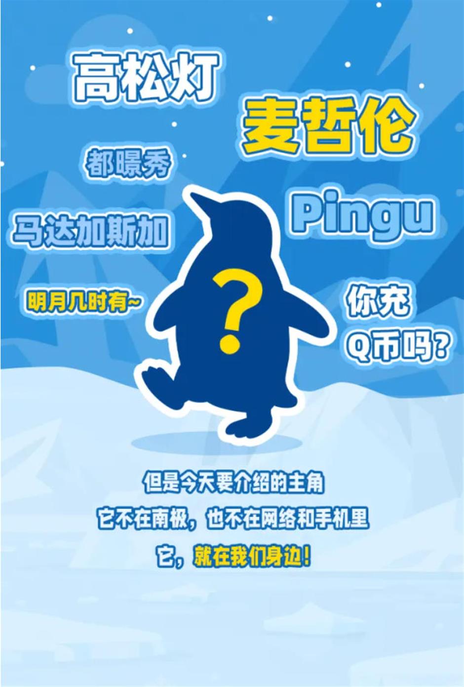 生了!生了!长风海洋世界有喜了!