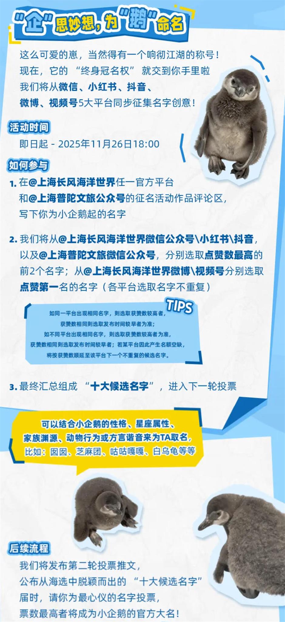 生了!生了!长风海洋世界有喜了!