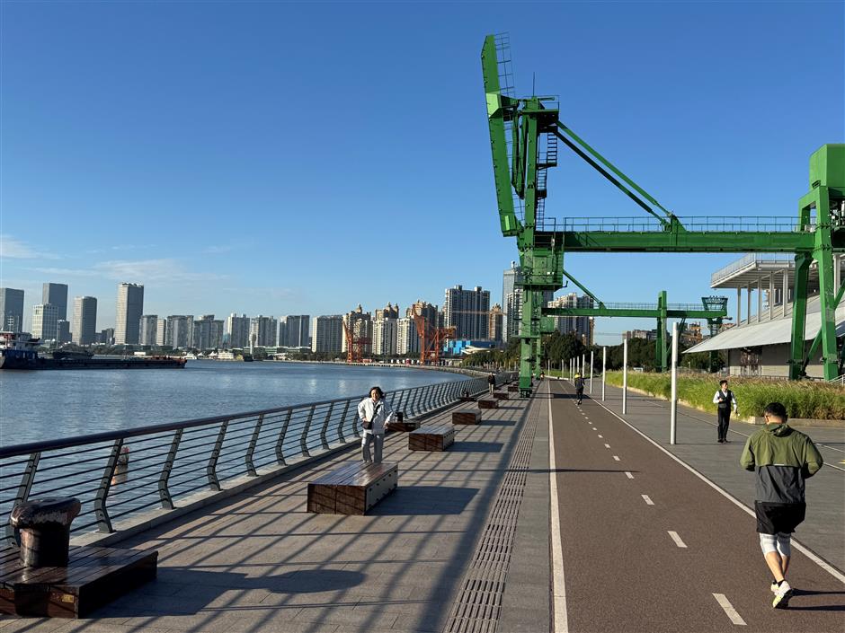 Miles, Moments, and the Secret Spots That Make This Home