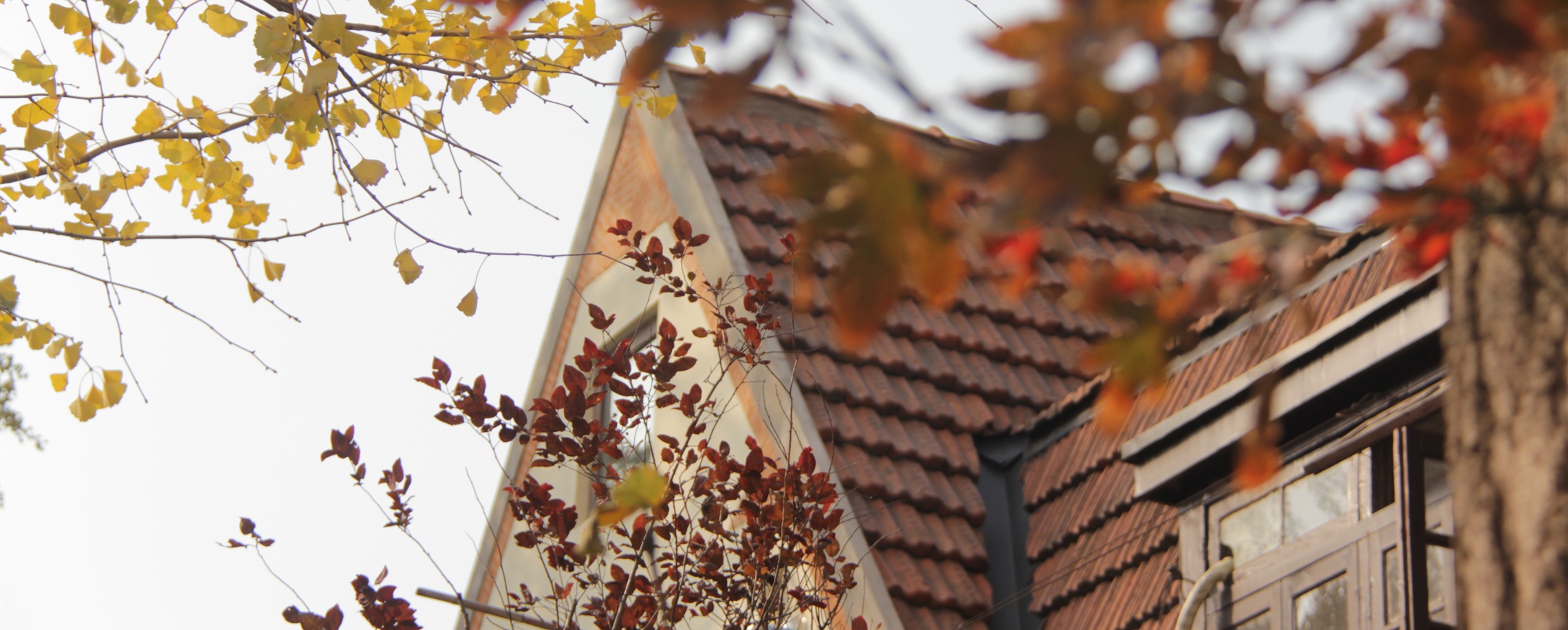 Where the 'Sun and Moon Mansion' Stood, Changlecun Finds a New Life