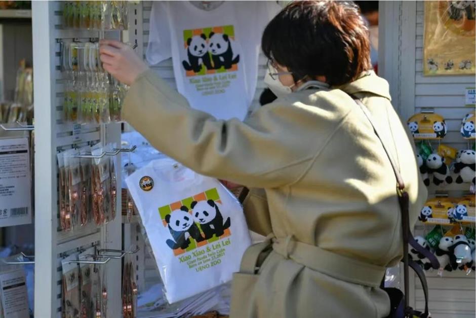 Japan's Last Giant Pandas to Return to China in 2026