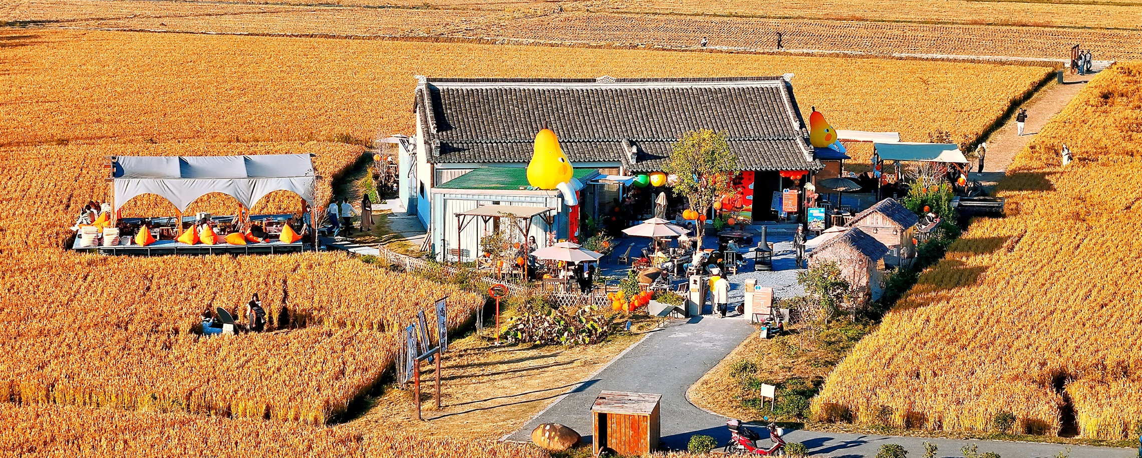 Fengxian: A Growth Hub with Rural Upgrades
