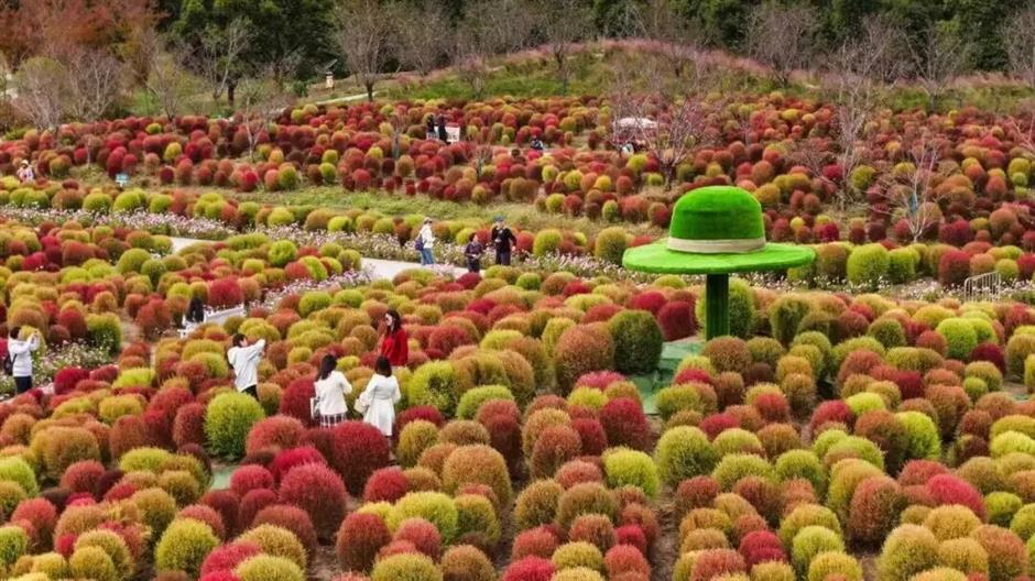 旅超大赛!金山主打