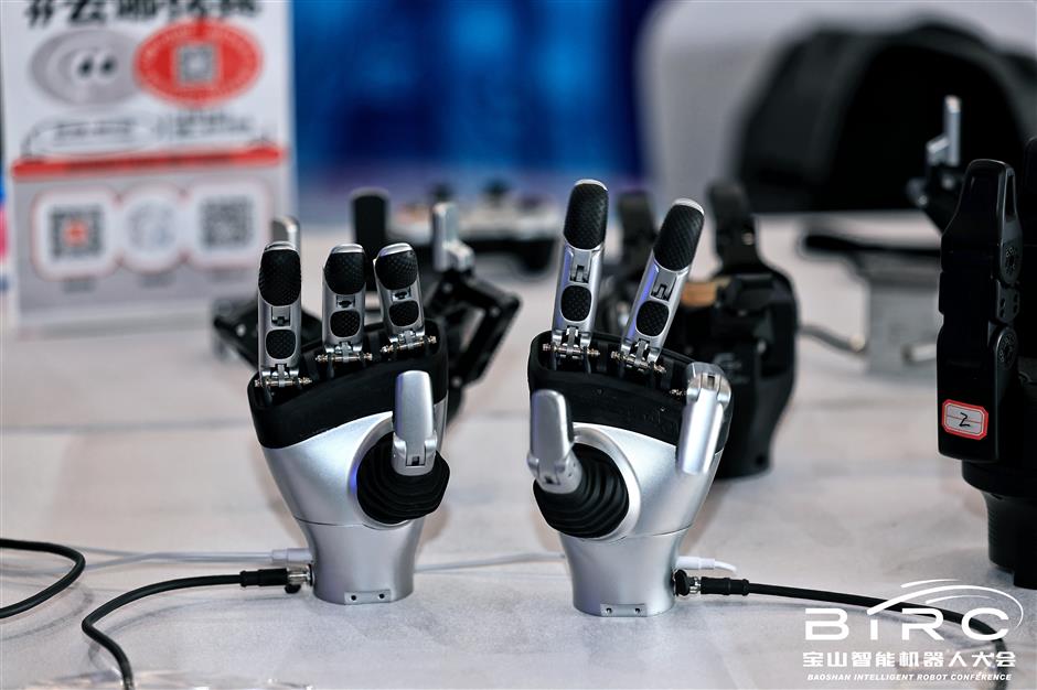 Robots Take Center Stage as Two-Day Carnival Opens in Baoshan