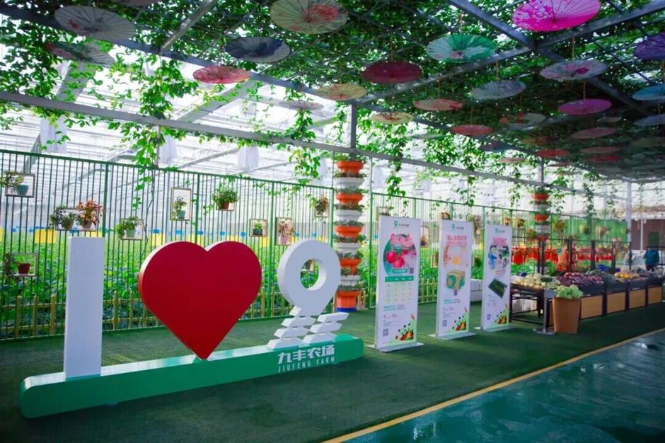 旅超大赛!金山主打