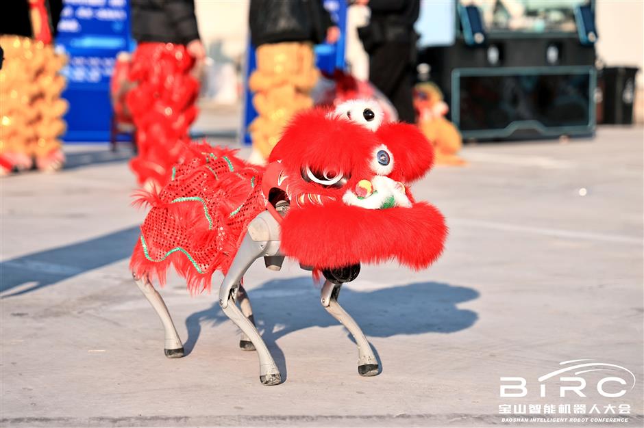 Robots Take Center Stage as Two-Day Carnival Opens in Baoshan