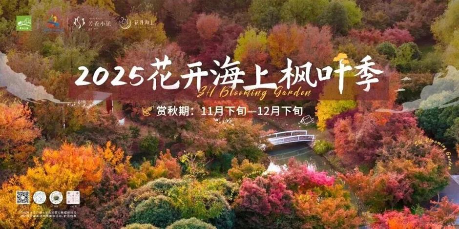 旅超大赛!金山主打