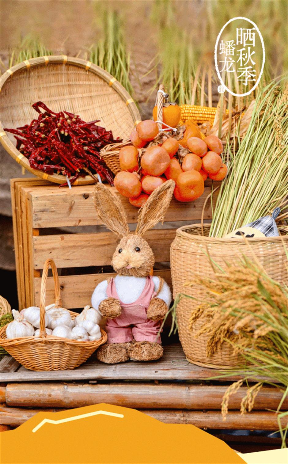 旅超大赛!青浦超多活动精彩登场,快来体验吧!