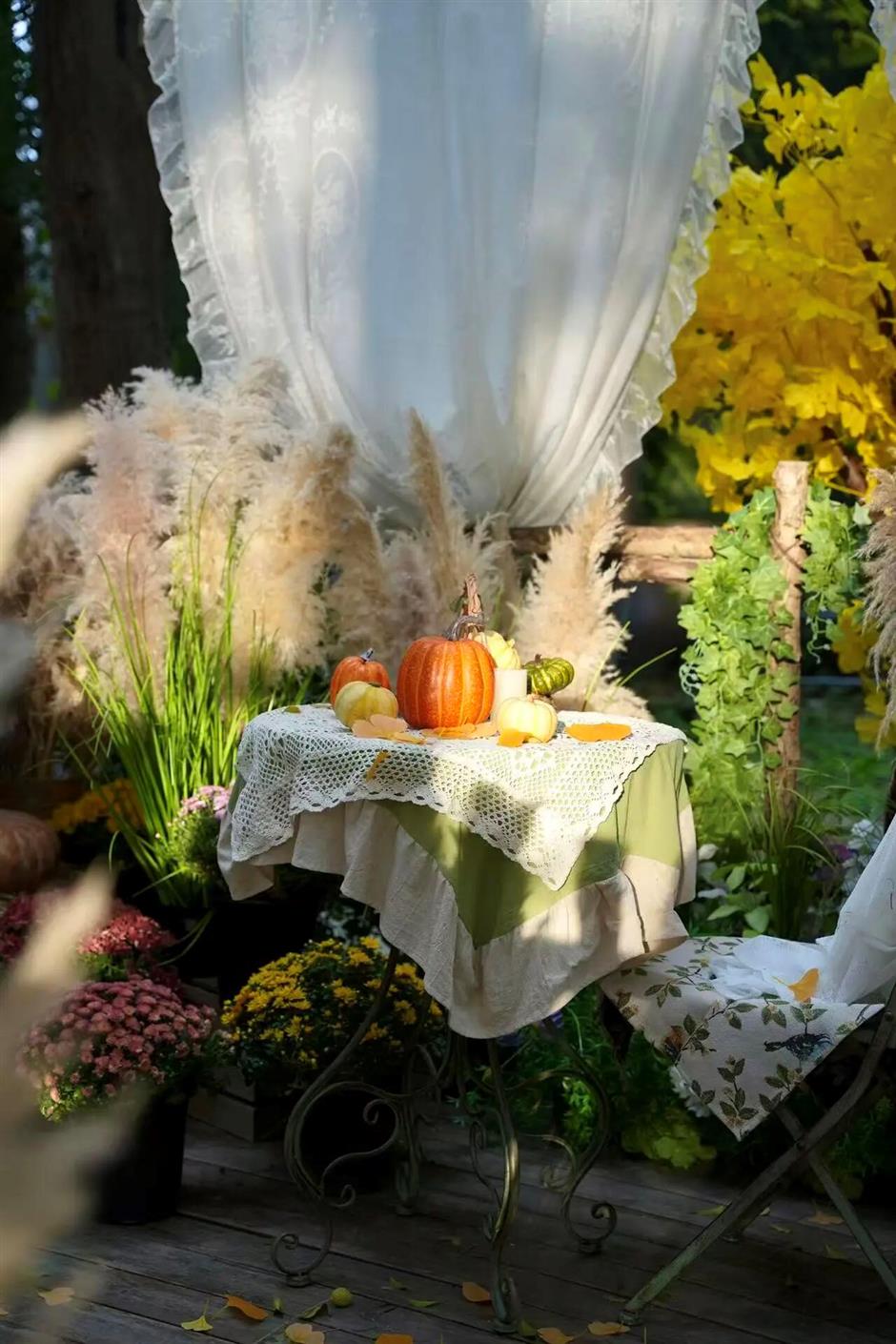旅超大赛!青浦超多活动精彩登场,快来体验吧!