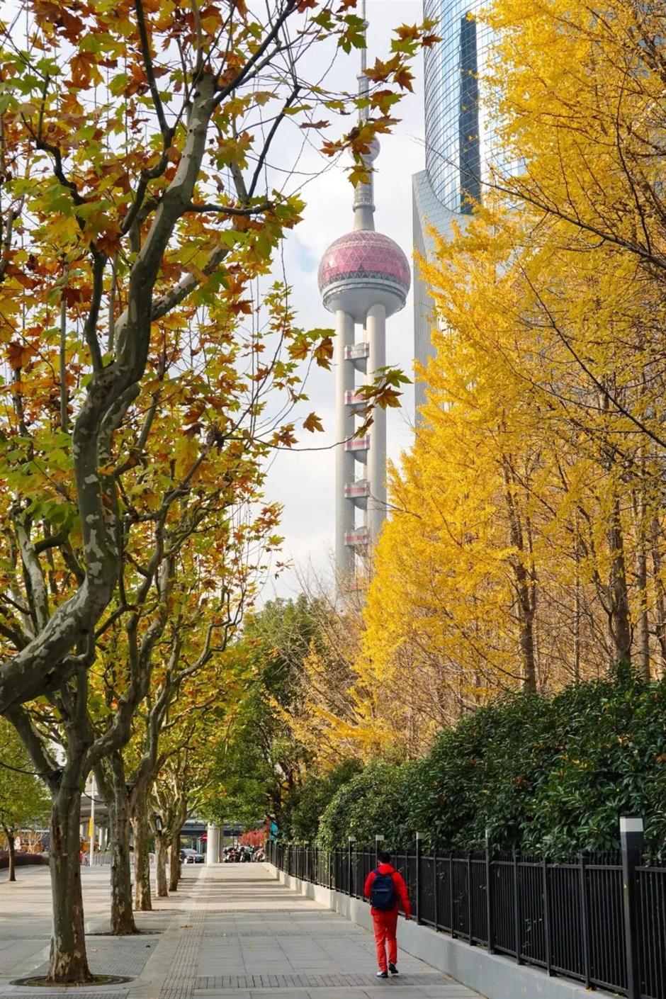 零门槛!把魔都顶级地标打包