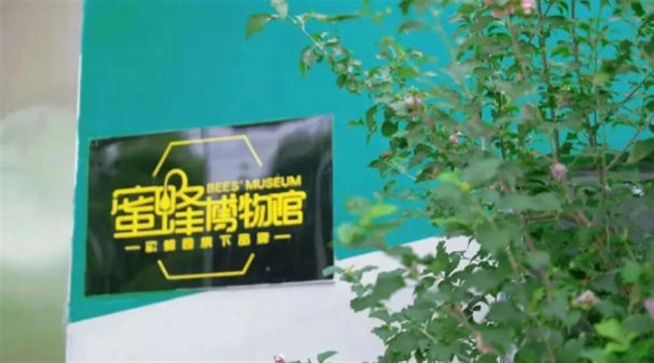 颠覆认知!奉贤竟然藏着这么多