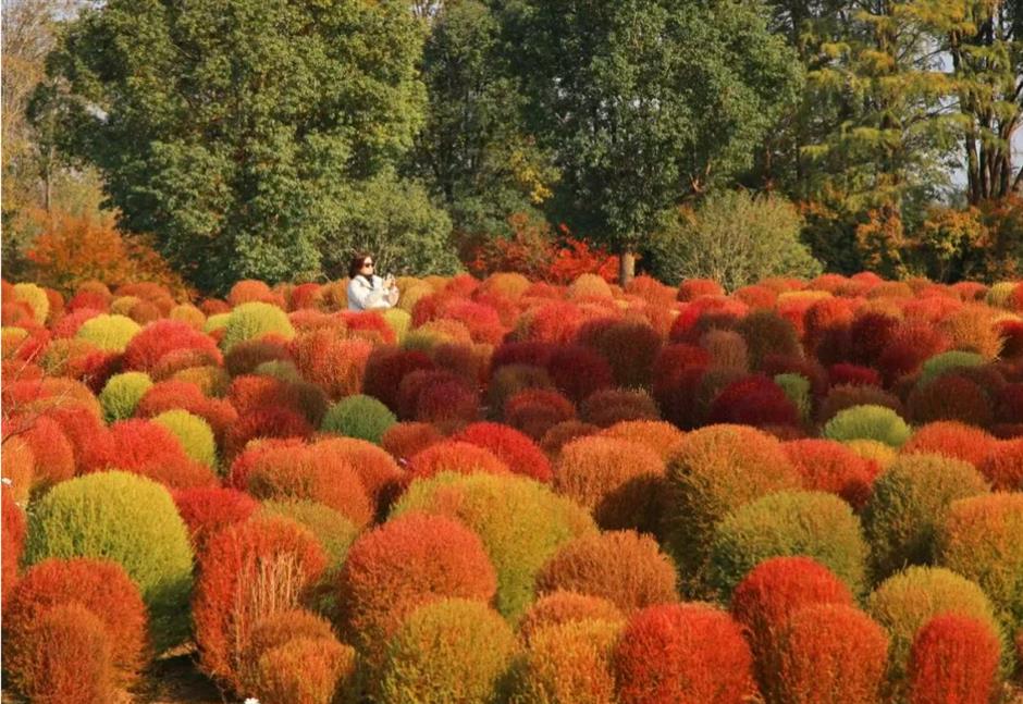 太会了!上海旅超火热开赛!青浦金山福利拉满,更多区惊喜在路上~