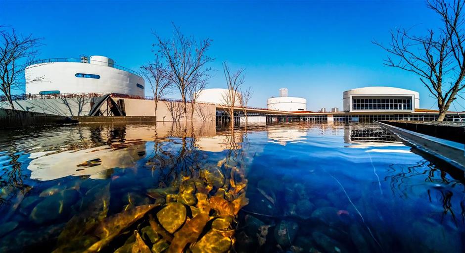 旅选上海,超级精彩!本周徐汇演出惠民价、酒店5折、展览半价、美食7折起,这波福利不冲亏大了