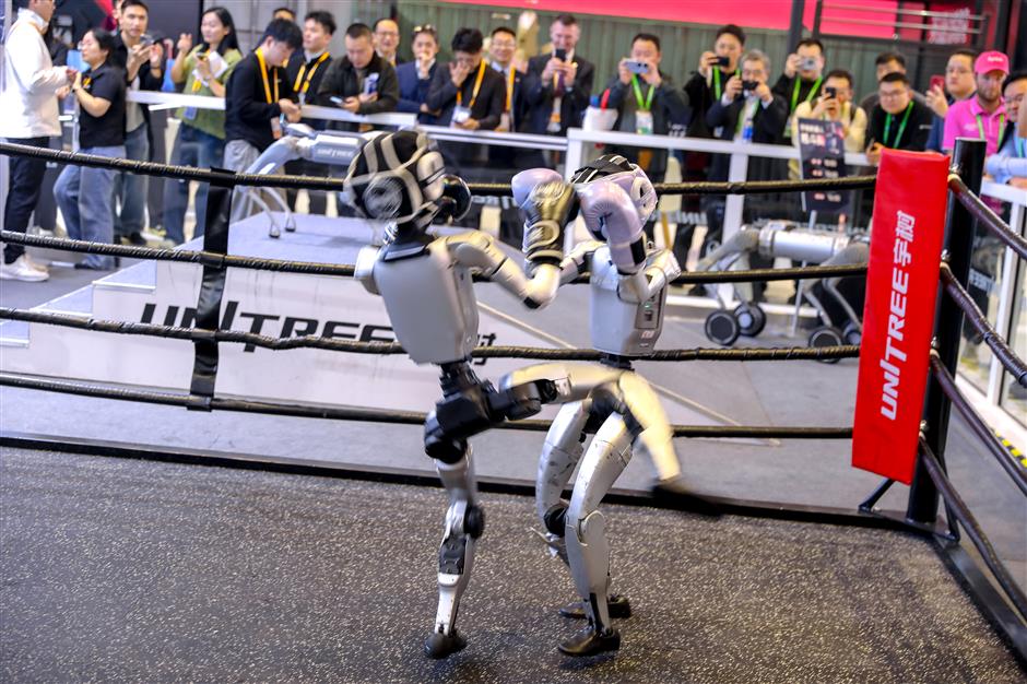 Froth and Faith: The Puzzling Future of China's Robotic Hype