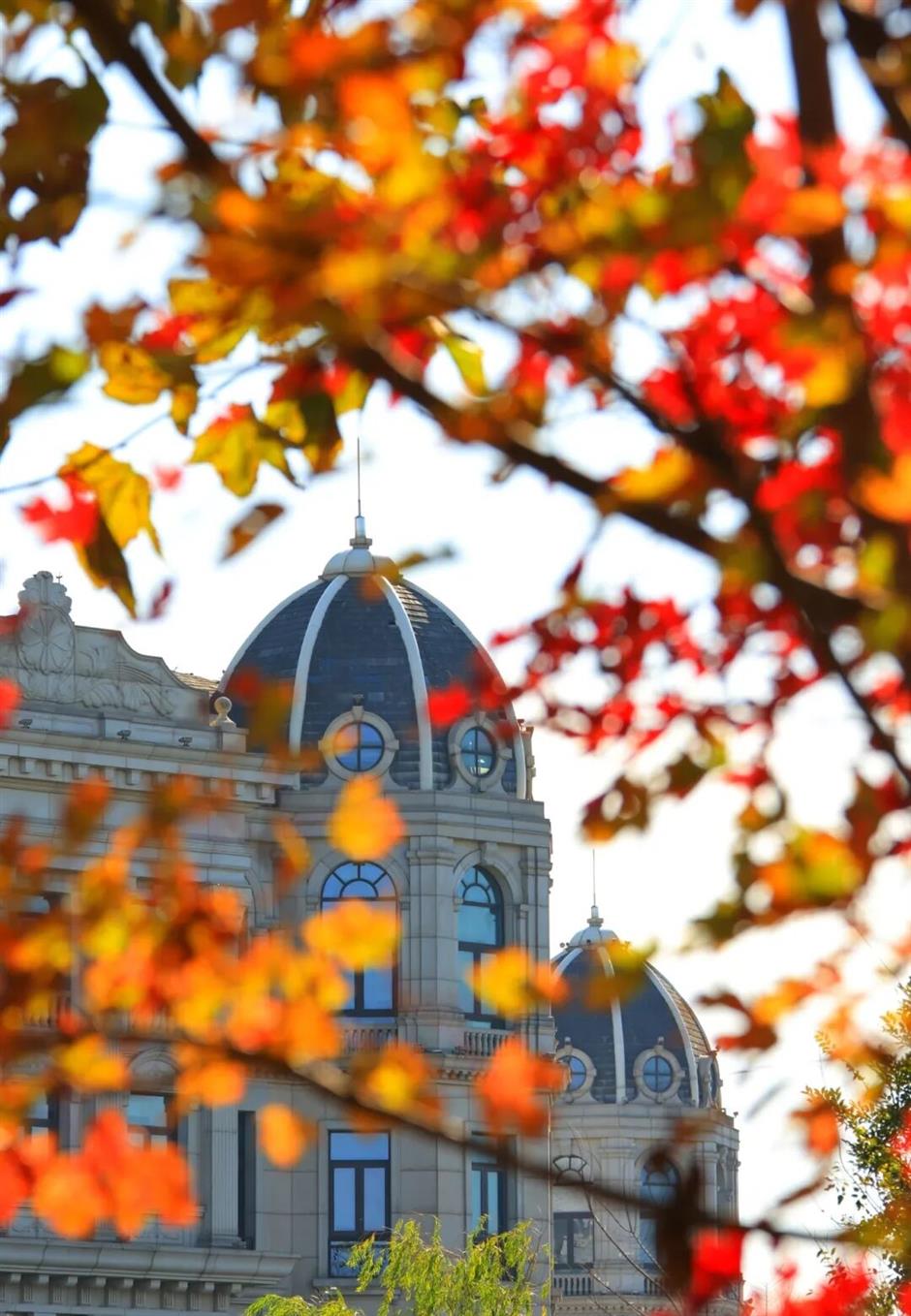 红叶+落日!深秋限定!用一下午时间感受河畔最美秋色