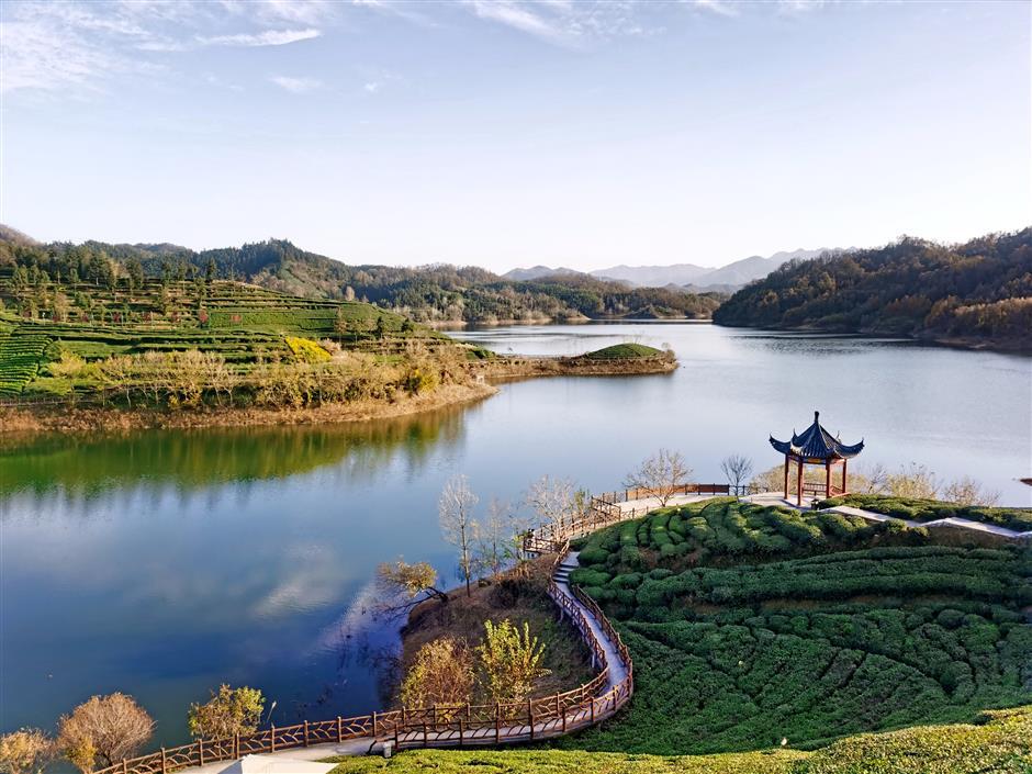 Shanghai, Lu'an Forge Cultural and Tourism Link Across Distance