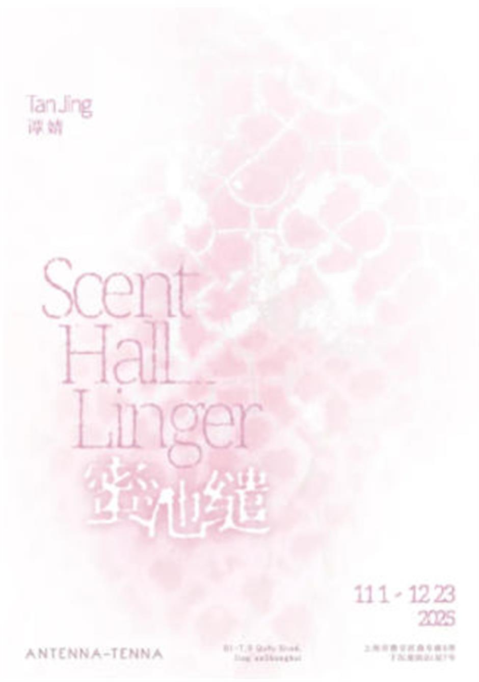 C位预定!上海12月看展打卡攻略