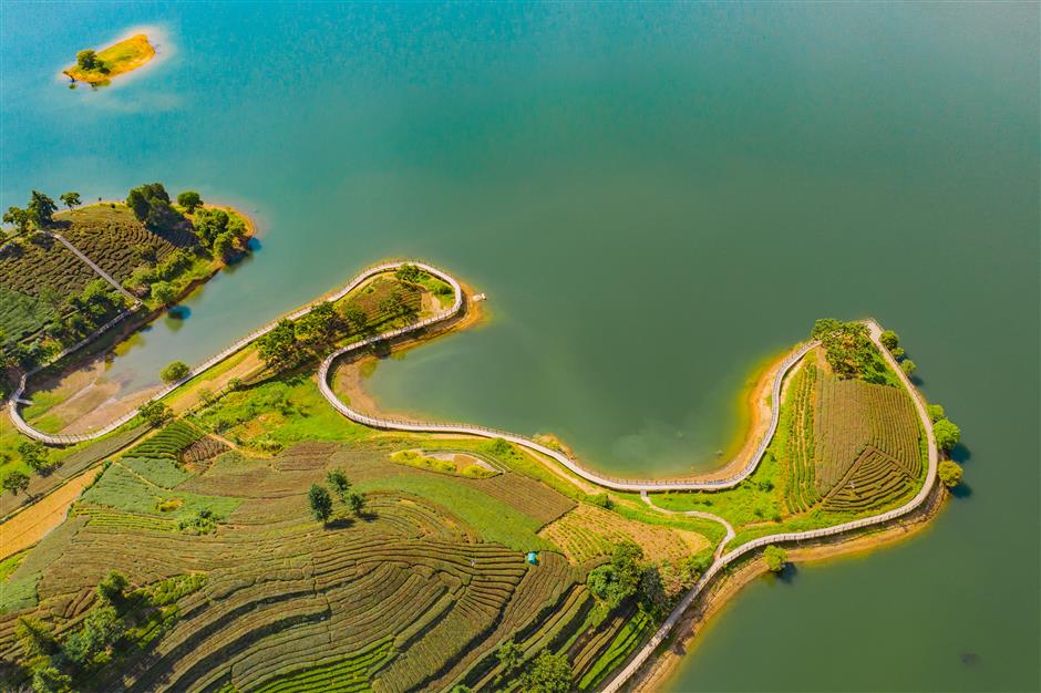 Shanghai, Lu'an Forge Cultural and Tourism Link Across Distance